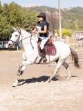 DSC03749 DSC03749
