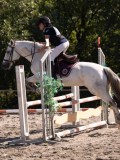 DSC03752 DSC03752