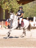 DSC03753 DSC03753