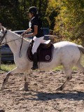 DSC03755 DSC03755