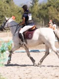DSC03757 DSC03757