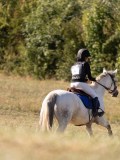 DSC04995 DSC04995
