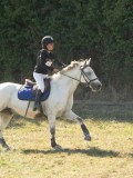 DSC06795 DSC06795