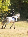 DSC06799 DSC06799