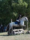 DSC_6072 DSC_6072