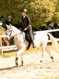 DSC08285 DSC08285