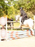 DSC08288 DSC08288