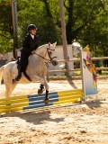 DSC08290 DSC08290