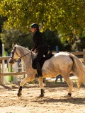 DSC08298 DSC08298