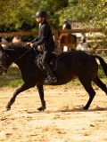 DSC08461