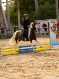 DSC07803 DSC07803