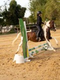 DSC07807 DSC07807