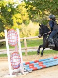 DSC07343 DSC07343