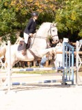 DSC08955 DSC08955