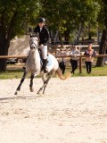 DSC07680 DSC07680