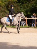 DSC07683 DSC07683