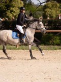 DSC07685 DSC07685