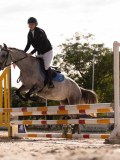 DSC07688 DSC07688