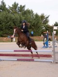 DSC06850 DSC06850