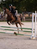 DSC06854 DSC06854