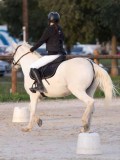 DSC05849 DSC05849