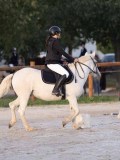 DSC05850 DSC05850