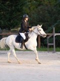 DSC05859 DSC05859