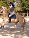 DSC08760 DSC08760