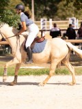 DSC08768 DSC08768