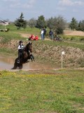 IMG_9703