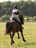 DSC00960