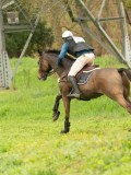 DSC00367 DSC00367