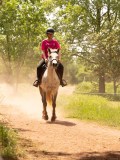 DSC02587 DSC02587