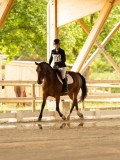 DSC02843 DSC02843