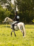 DSC01464 DSC01464