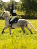 DSC01468 DSC01468