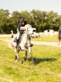 DSC01487 DSC01487