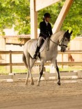 DSC02875 DSC02875