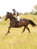 DSC02537 DSC02537