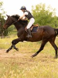 DSC02543 DSC02543