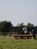 IMG_6355