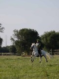IMG_6356