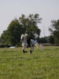 IMG_6360