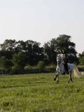 IMG_6361