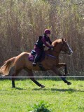 IMG_1021