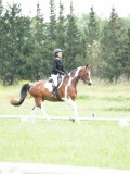 SGE08809