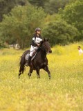 DSC02458 DSC02458