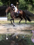 IMG_7598