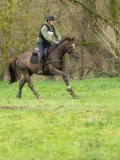 DSC07458 DSC07458