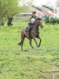 DSC07466 DSC07466